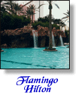 Flamingo Hilton